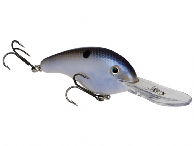 SEXY SHAD